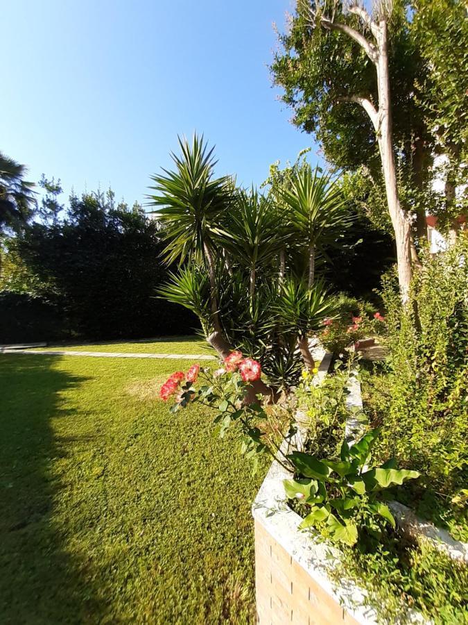 La Gran Dama Bed & Breakfast Roseto Degli Abruzzi Eksteriør bilde